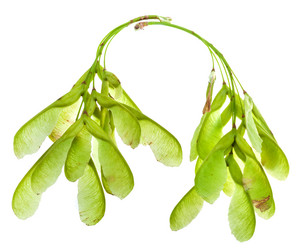 Similar image 2975348