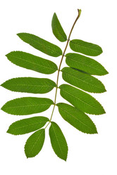 Similar image 2975350