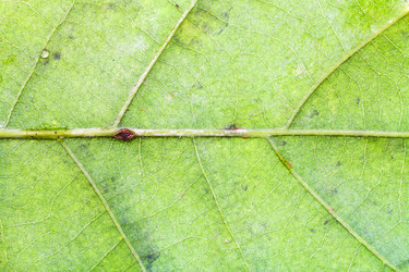 Similar image 2975351