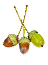 Similar image 2975358