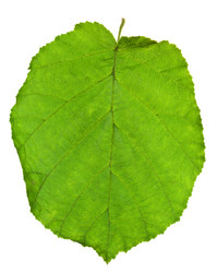 Similar image 2975365