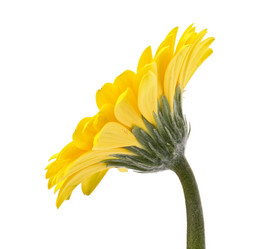 Similar image 2975371