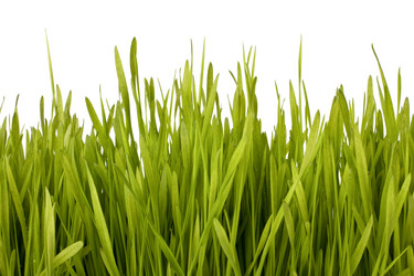 Similar image 2975373