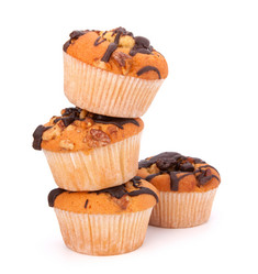 Similar image 2975387