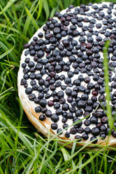 Similar image 2975426