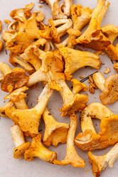 Similar image 2975427