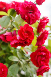 Similar image 2975435