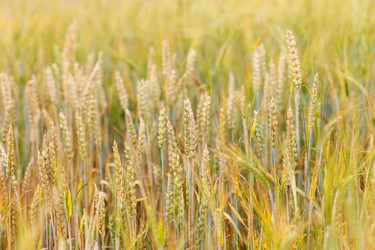 Similar image 2975447