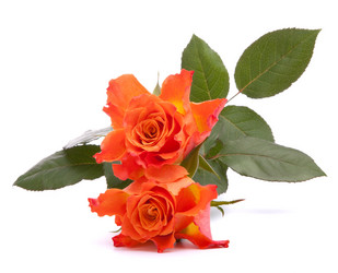 Similar image 2975463