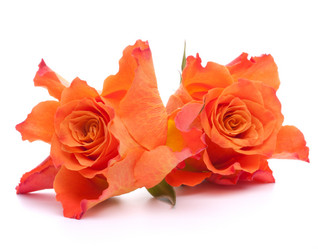 Similar image 2975473