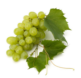 Similar image 2975477