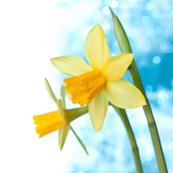 Similar image 2975494