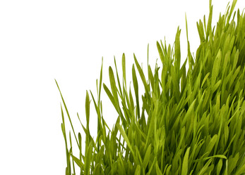 Similar image 2975503