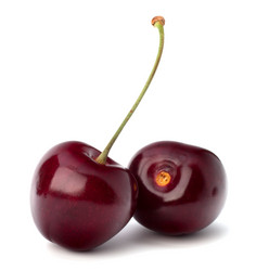 Similar image 2975532