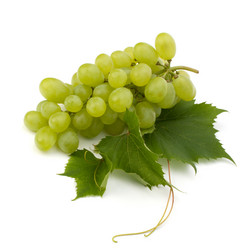 Similar image 2975537