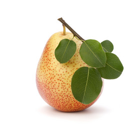 Similar image 2975558