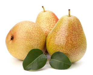 Similar image 2975596