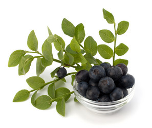 Similar image 2975598