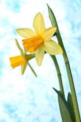 Similar image 2975628