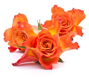 Similar image 2975638