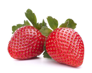 Similar image 2975639