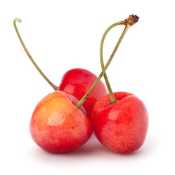 Similar image 2975730