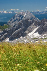 Similar image 2975739