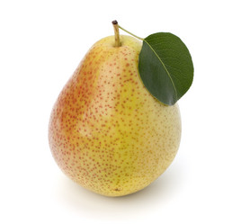 Similar image 2975749