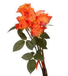 Similar image 2975802