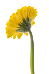 Similar image 2975824