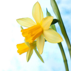 Similar image 2975826