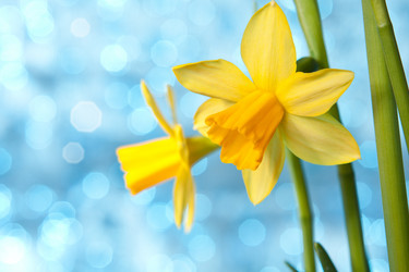 Similar image 2975829