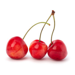 Similar image 2975839