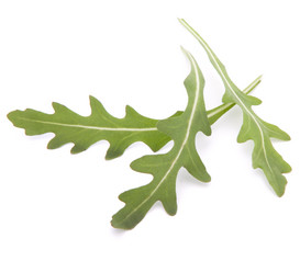 Similar image 2975846