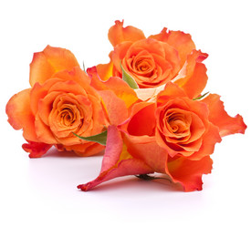 Similar image 2975848