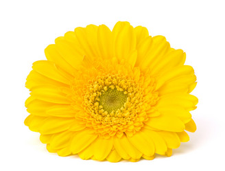 Similar image 2975864