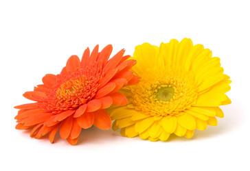 Similar image 2975869