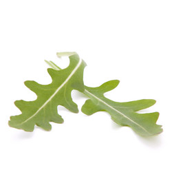 Similar image 2975879