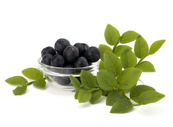 Similar image 2975883