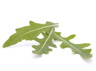 Similar image 2975960