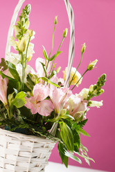 Similar image 2975981