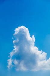 Similar image 2975984