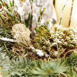 Similar image 2975992