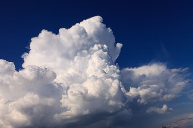 Similar image 2976002