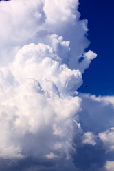 Similar image 2976003