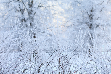 Similar image 2976020