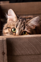 Similar image 2976021