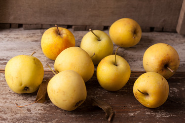 Similar image 2976022