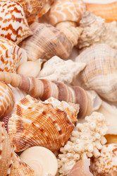 Similar image 2976029