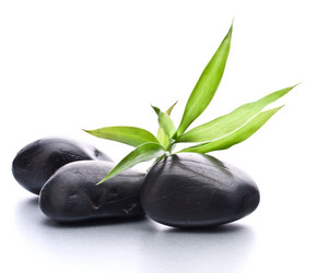 Similar image 2976036